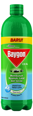 Baygon Cair